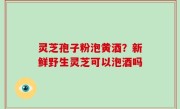 灵芝孢子粉泡黄酒？新鲜野生灵芝可以泡酒吗