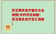 灵芝黄芪食疗偏方大全视频(中药养生秘籍：灵芝黄芪食疗百汇视频)