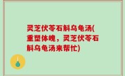 灵芝伏苓石斛乌龟汤(重塑体魄，灵芝伏苓石斛乌龟汤来帮忙)