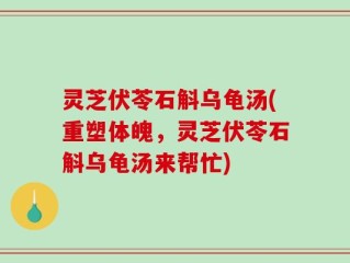 灵芝伏苓石斛乌龟汤(重塑体魄，灵芝伏苓石斛乌龟汤来帮忙)