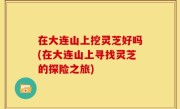 在大连山上挖灵芝好吗(在大连山上寻找灵芝的探险之旅)