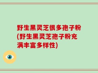 野生黑灵芝很多孢子粉(野生黑灵芝孢子粉充满丰富多样性)