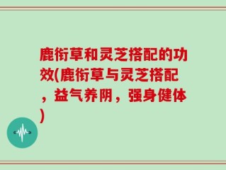 鹿衔草和灵芝搭配的功效(鹿衔草与灵芝搭配，益气养阴，强身健体)