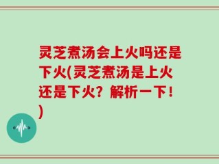 灵芝煮汤会上火吗还是下火(灵芝煮汤是上火还是下火？解析一下！)