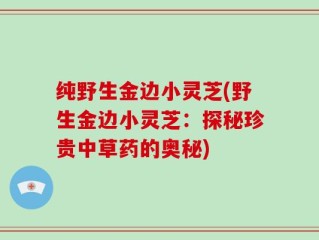 纯野生金边小灵芝(野生金边小灵芝：探秘珍贵中草药的奥秘)