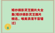 婚纱摄影灵芝图片大全集(婚纱摄影灵芝图片精选，唯美浪漫不容错过)