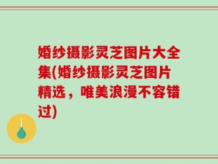 婚纱摄影灵芝图片大全集(婚纱摄影灵芝图片精选，唯美浪漫不容错过)