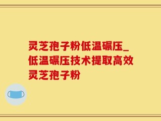 灵芝孢子粉低温碾压_低温碾压技术提取高效灵芝孢子粉