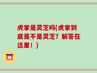 虎掌是灵芝吗(虎掌到底是不是灵芝？解答在这里！)