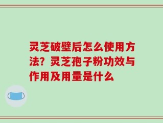 灵芝破壁后怎么使用方法？灵芝孢子粉功效与作用及用量是什么
