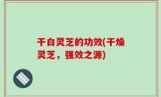干白灵芝的功效(干燥灵芝，强效之源)