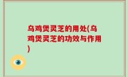乌鸡煲灵芝的用处(乌鸡煲灵芝的功效与作用)