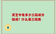 灵芝中有多少三萜成分组成？什么是三萜类