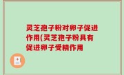 灵芝孢子粉对卵子促进作用(灵芝孢子粉具有促进卵子受精作用