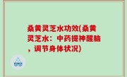 桑黄灵芝水功效(桑黄灵芝水：中药提神醒脑，调节身体状况)