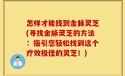 怎样才能找到金脉灵芝(寻找金脉灵芝的方法：指引您轻松找到这个疗效极佳的灵芝！)