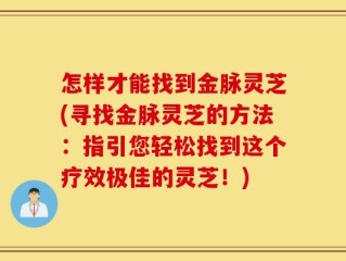 怎样才能找到金脉灵芝(寻找金脉灵芝的方法：指引您轻松找到这个疗效极佳的灵芝！)