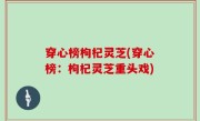 穿心榜枸杞灵芝(穿心榜：枸杞灵芝重头戏)