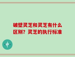 破壁灵芝和灵芝有什么区别？灵芝的执行标准