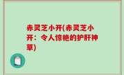 赤灵芝小开(赤灵芝小开：令人惊艳的护肝神草)