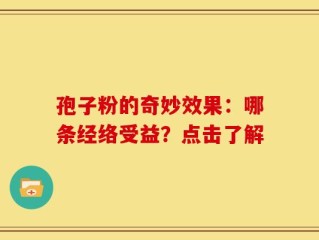 孢子粉的奇妙效果：哪条经络受益？点击了解