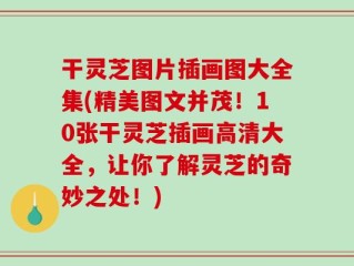 干灵芝图片插画图大全集(精美图文并茂！10张干灵芝插画高清大全，让你了解灵芝的奇妙之处！)