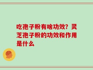 吃孢子粉有啥功效？灵芝孢子粉的功效和作用是什么