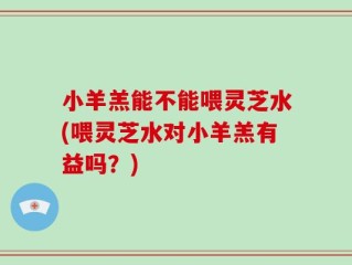 小羊羔能不能喂灵芝水(喂灵芝水对小羊羔有益吗？)