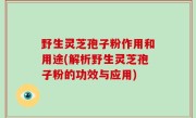 野生灵芝孢子粉作用和用途(解析野生灵芝孢子粉的功效与应用)