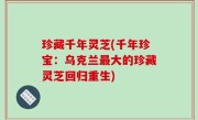 珍藏千年灵芝(千年珍宝：乌克兰最大的珍藏灵芝回归重生)
