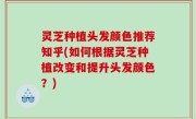 灵芝种植头发颜色推荐知乎(如何根据灵芝种植改变和提升头发颜色？)