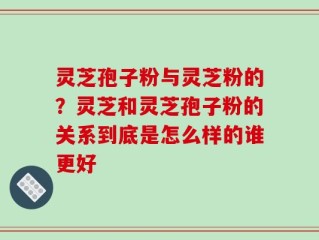 灵芝孢子粉与灵芝粉的？灵芝和灵芝孢子粉的关系到底是怎么样的谁更好