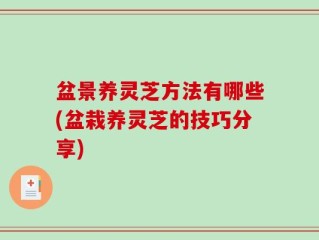 盆景养灵芝方法有哪些(盆栽养灵芝的技巧分享)
