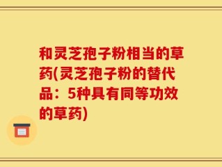 和灵芝孢子粉相当的草药(灵芝孢子粉的替代品：5种具有同等功效的草药)
