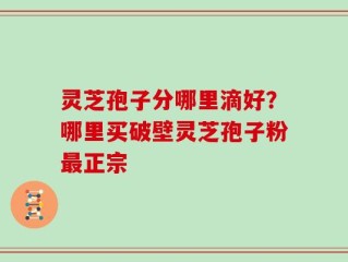 灵芝孢子分哪里滴好？哪里买破壁灵芝孢子粉最正宗