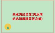 天水湾纪灵芝(天水湾纪念馆展现灵芝之美)