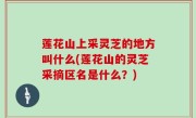 莲花山上采灵芝的地方叫什么(莲花山的灵芝采摘区名是什么？)