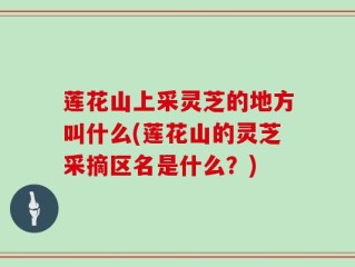 莲花山上采灵芝的地方叫什么(莲花山的灵芝采摘区名是什么？)