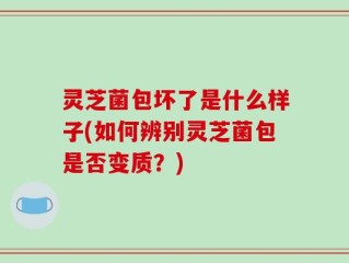 灵芝菌包坏了是什么样子(如何辨别灵芝菌包是否变质？)
