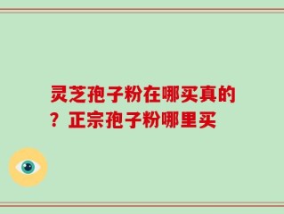 灵芝孢子粉在哪买真的？正宗孢子粉哪里买