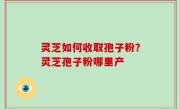 灵芝如何收取孢子粉？灵芝孢子粉哪里产