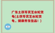 广东土茯苓灵芝水蛇煲龟(土茯苓灵芝水蛇煲龟，健康养生佳品！)