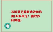 石斛灵芝养肝功效和作用(石斛灵芝：强效养肝神器)
