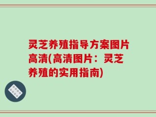 灵芝养殖指导方案图片高清(高清图片：灵芝养殖的实用指南)