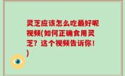 灵芝应该怎么吃最好呢视频(如何正确食用灵芝？这个视频告诉你！)
