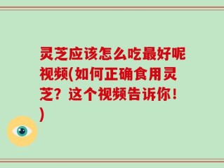 灵芝应该怎么吃最好呢视频(如何正确食用灵芝？这个视频告诉你！)