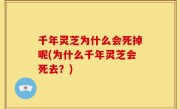 千年灵芝为什么会死掉呢(为什么千年灵芝会死去？)