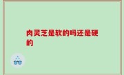肉灵芝是软的吗还是硬的