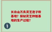 长白山万良灵芝孢子粉基地？探秘灵芝种植基地的生产过程？