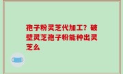 孢子粉灵芝代加工？破壁灵芝孢子粉能种出灵芝么